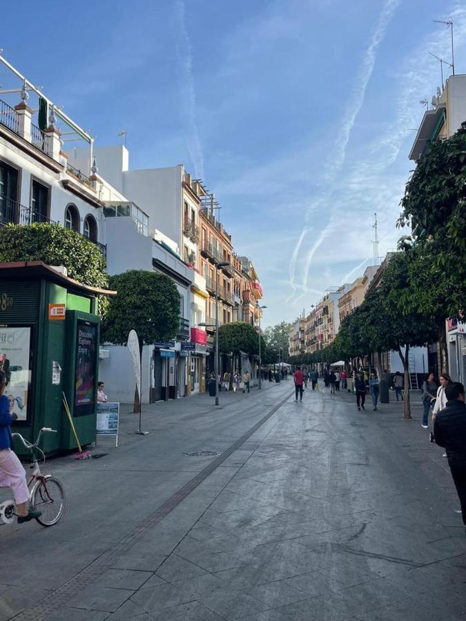 180 Home. Rincon De Triana Sevilla