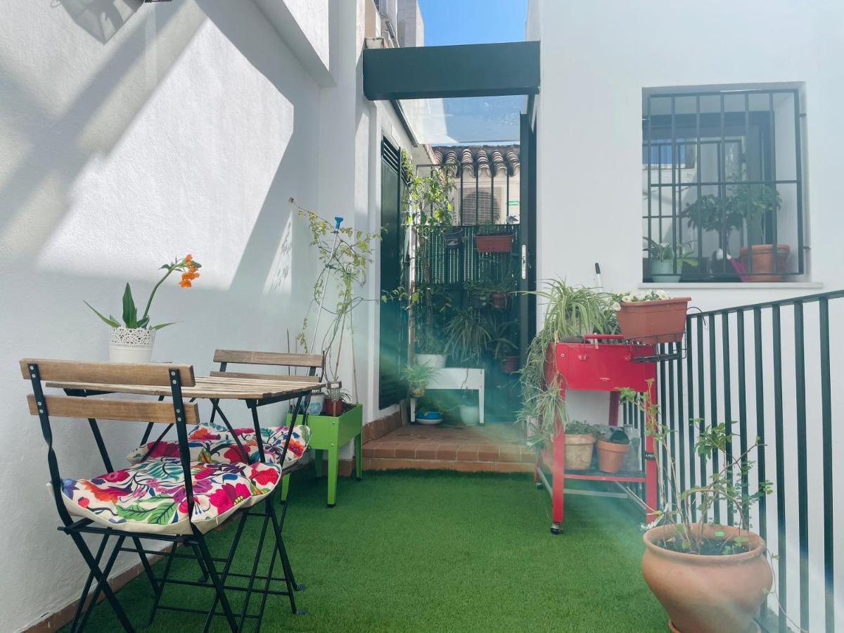 Penthouse At Center With Terrace Apartment