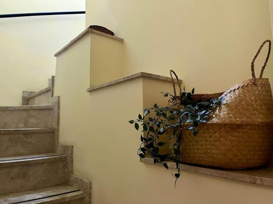 Apartamento J Costa 15- Alameda Hercules Sevilla