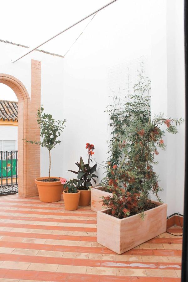 Apartamento Monkeys Pureza House Sevilla