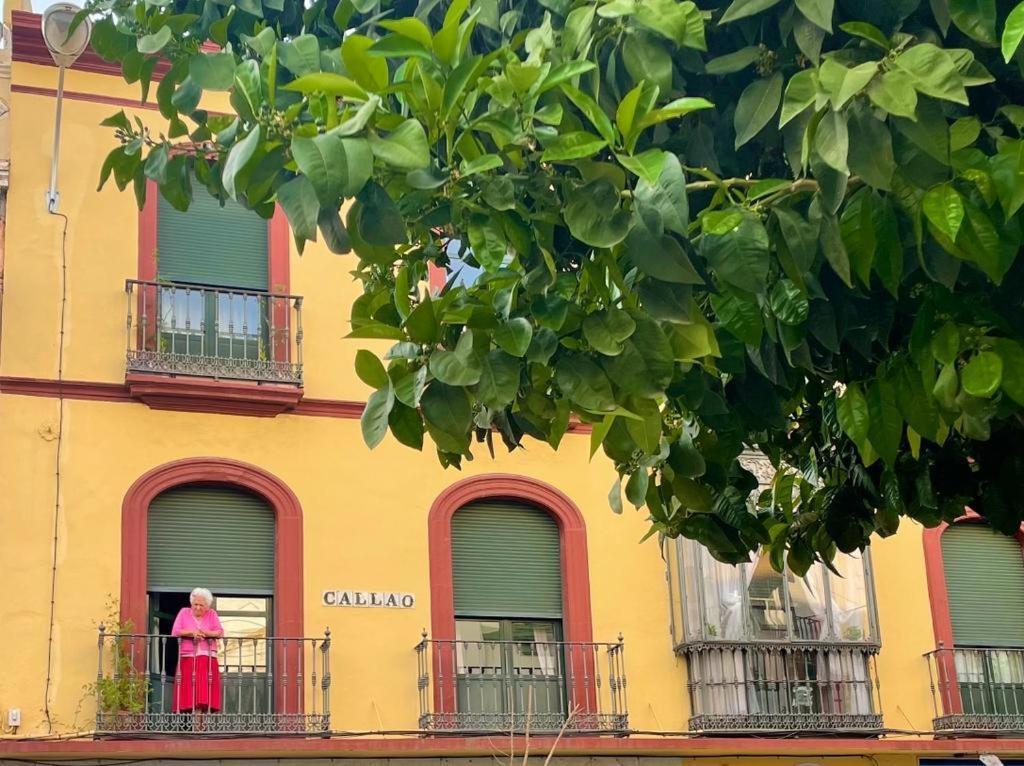 Eva Recommends Triana Apartment Seville
