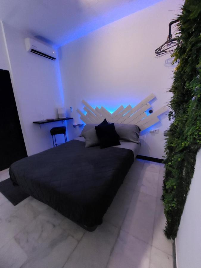 Mini Estudio Alamedad De Hercules Sevilla
