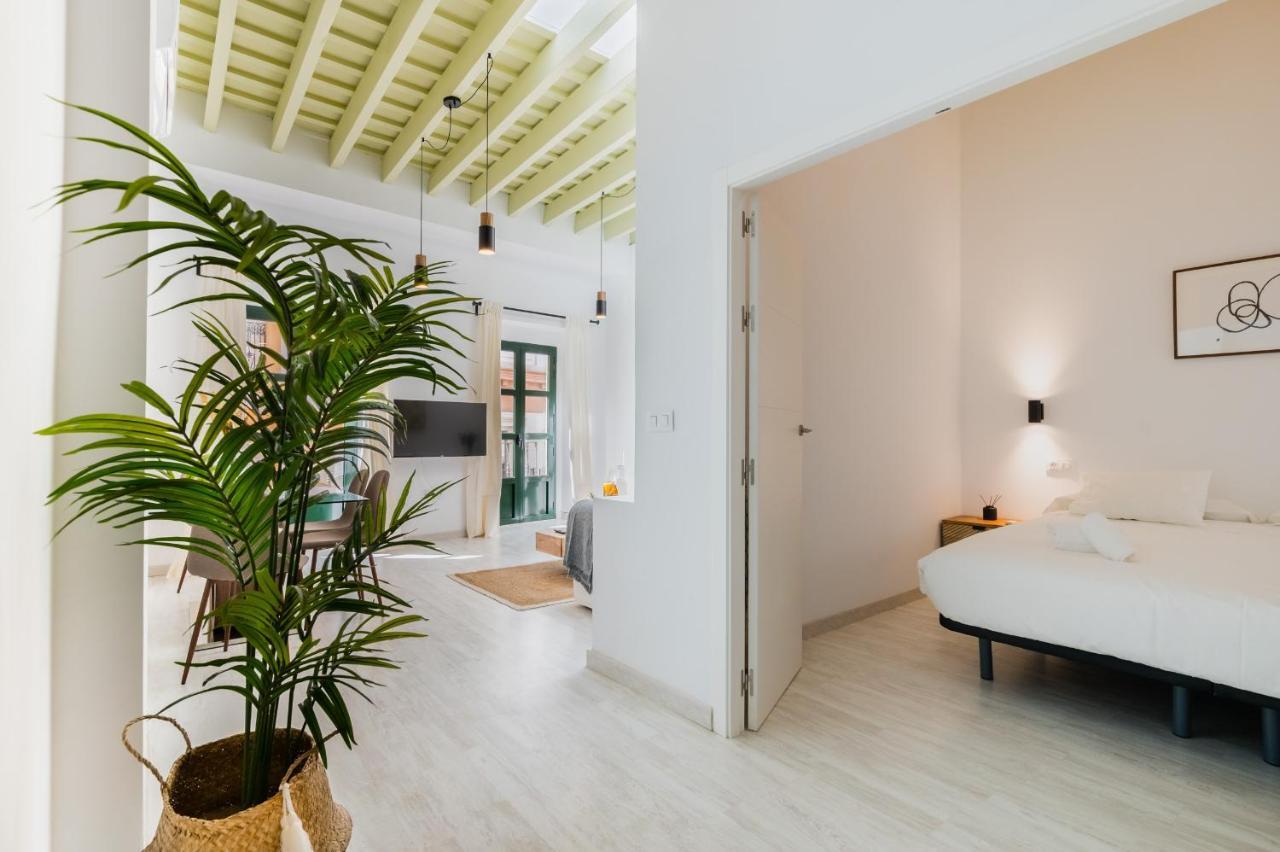 Apartment Duplex With Terrace- 2bd 2bth- Arenal