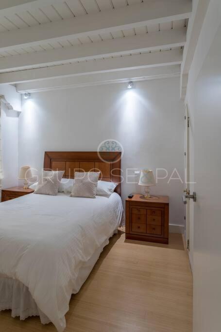 Сasa de vacaciones Ad10 Full House Near Cathedral By Antonia Diaz Street