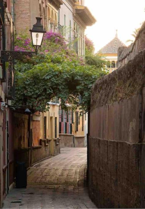 Ad10 Full House Near Cathedral By Antonia Diaz Street * Sevilla