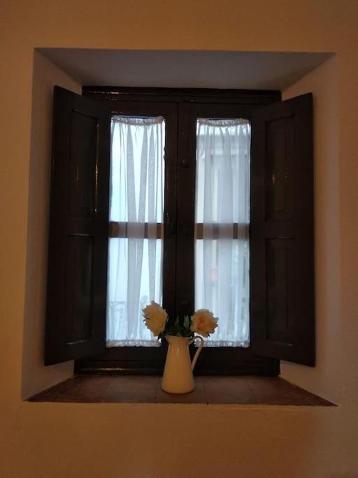 Apartment Con Patio Sevillano *