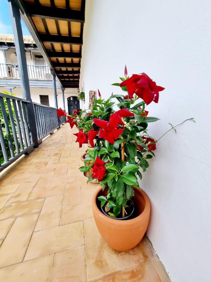 Apartment Con Patio Sevillano Seville