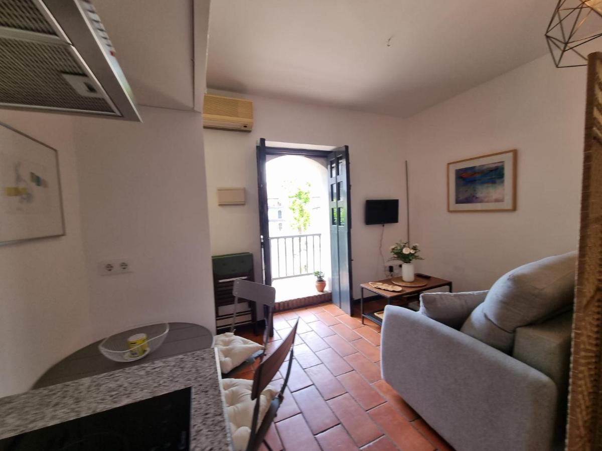 Con Patio Sevillano Apartment