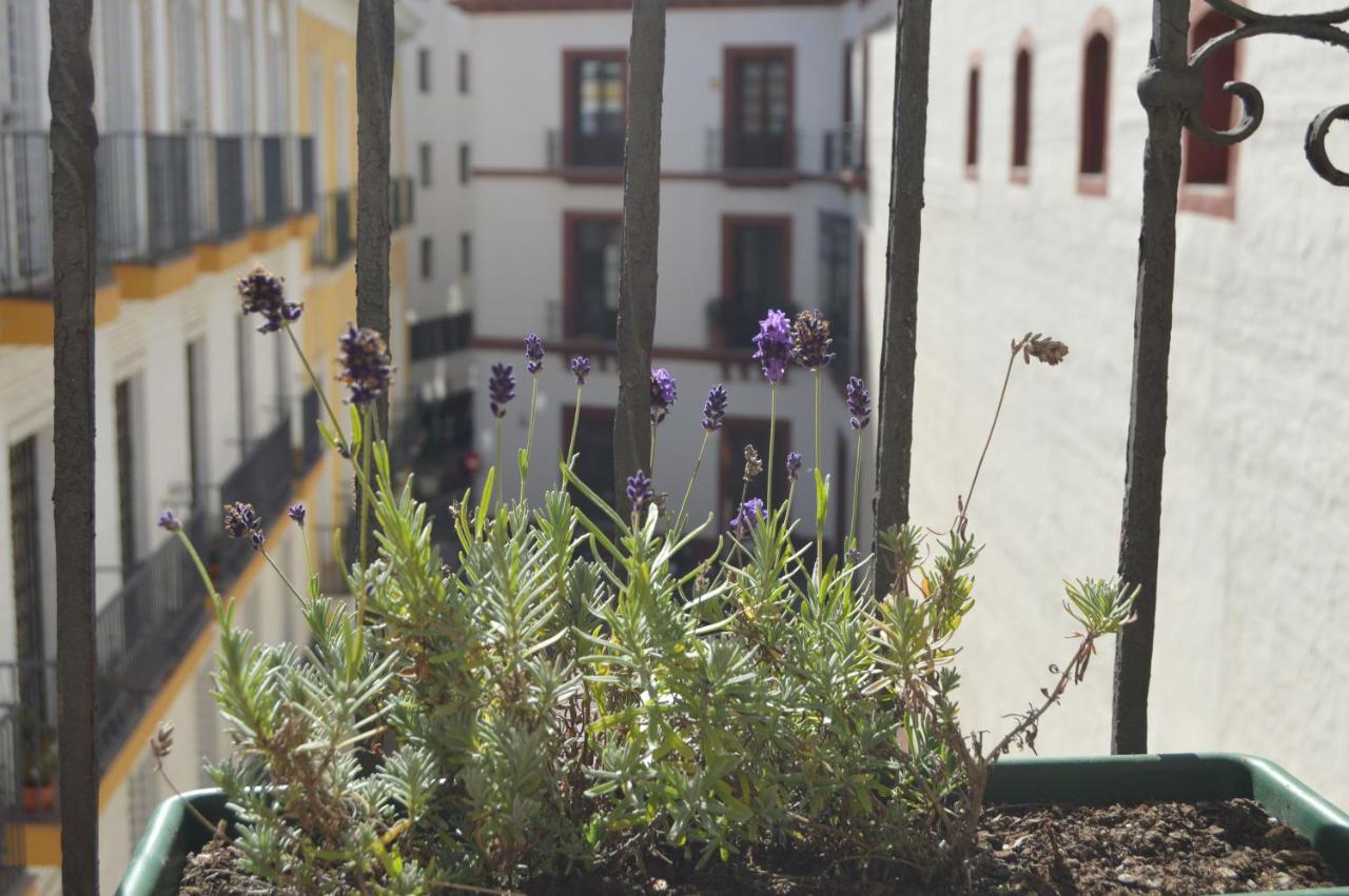 Isg Precioso Atico Con Terraza Privada En El Centro