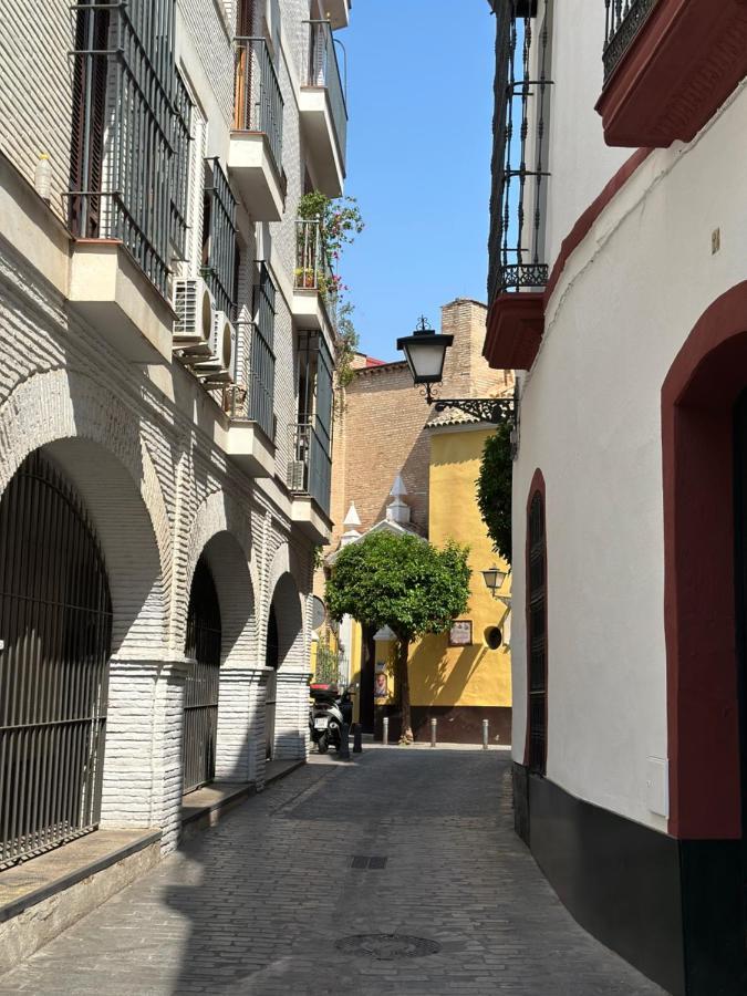 Acogedor Y Moderno En Pleno Centro De Con Parking Gratis *
