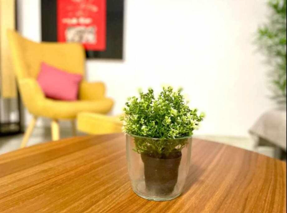 Apartamento Acogedor Y Tranquilo Cerca De Setas - Centro *