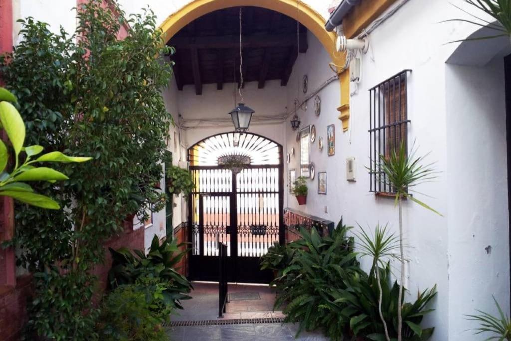 Tipico Y Pintoresco Patio De Vecinos, Con Encanto Apartment