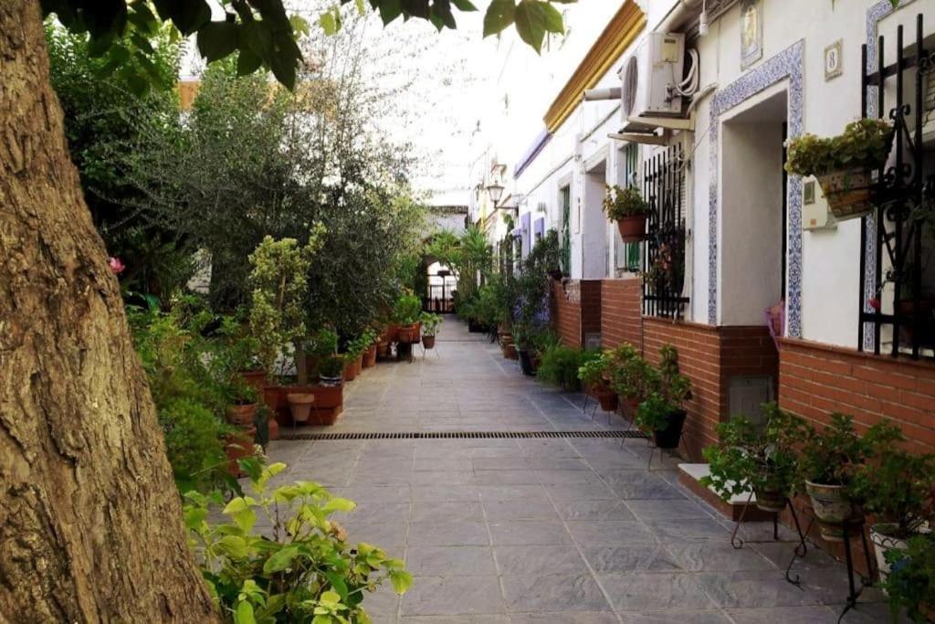 Tipico Y Pintoresco Patio De Vecinos, Con Encanto Seville