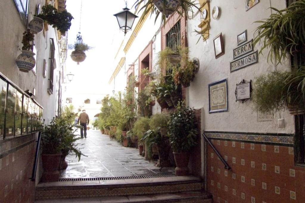 Apartment Tipico Y Pintoresco Patio De Vecinos, Con Encanto Seville