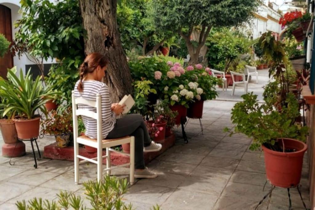 Tipico Y Pintoresco Patio De Vecinos, Con Encanto Apartment Seville