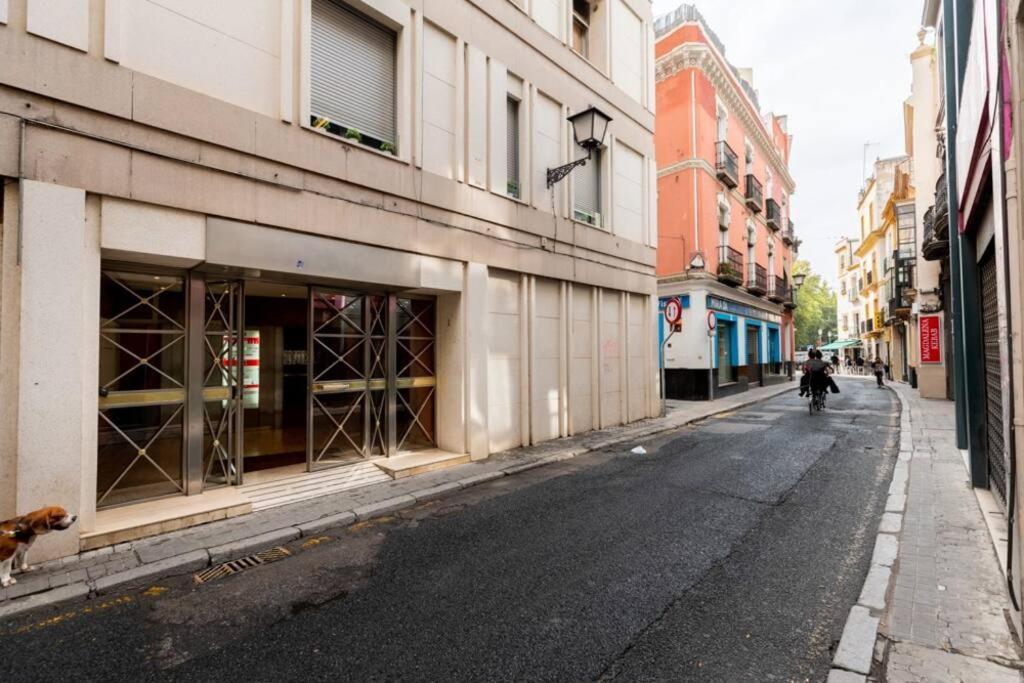 Murillo Fantastic Downtown