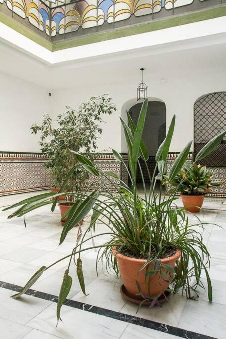 Cozy In A Typical Sevillian Patio House * Sevilla