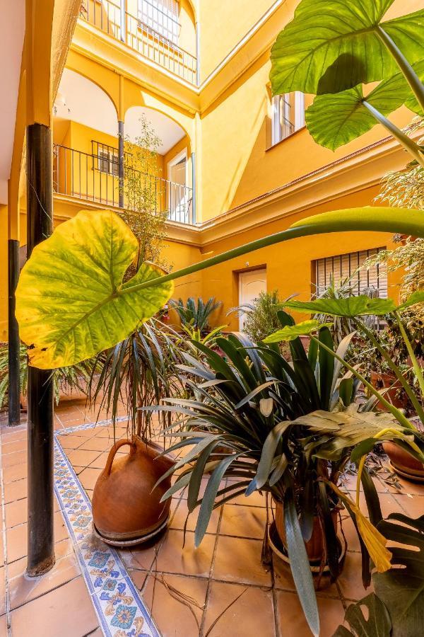 Apartamento La Casa De Jacobo *