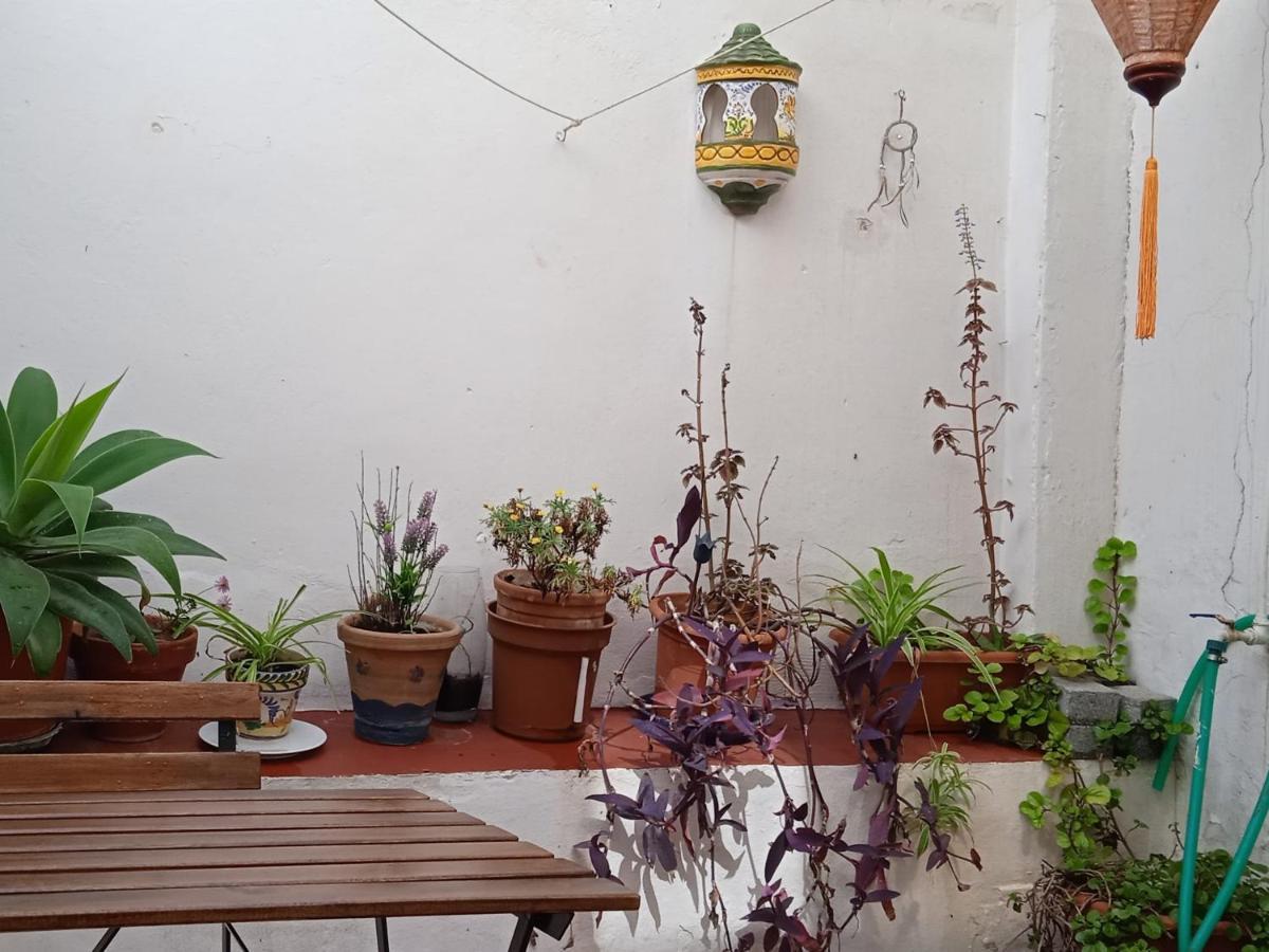 Apartamento Selva La Bella. En El Corazón De Triana Sevilla