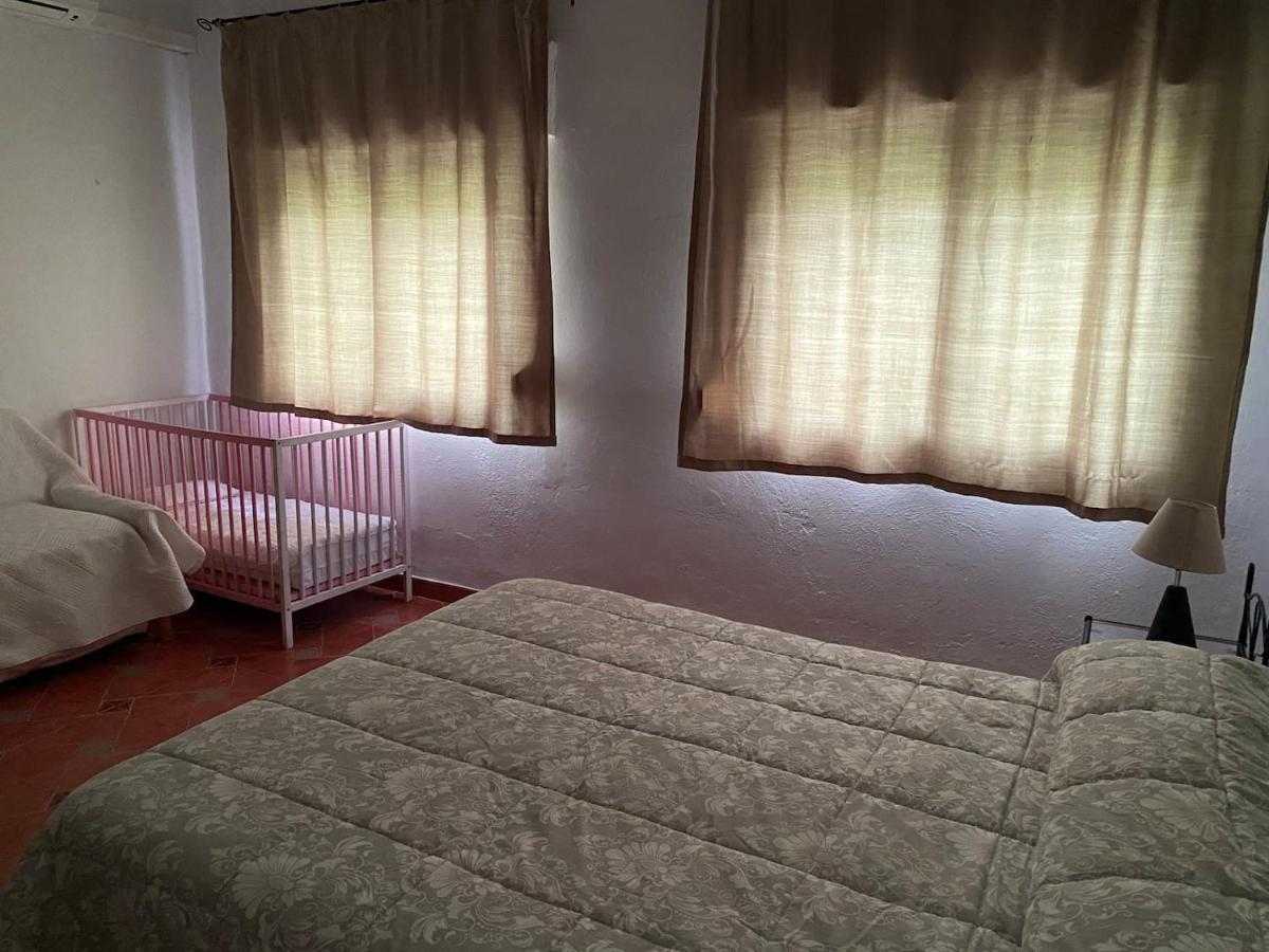 La Casa Grande Seville