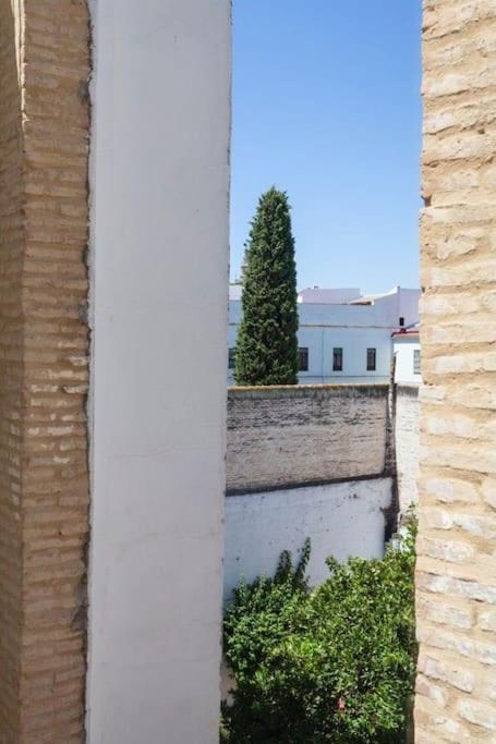 Precioso - Localizacion Perfecta **wifi - A/c** Apartment *