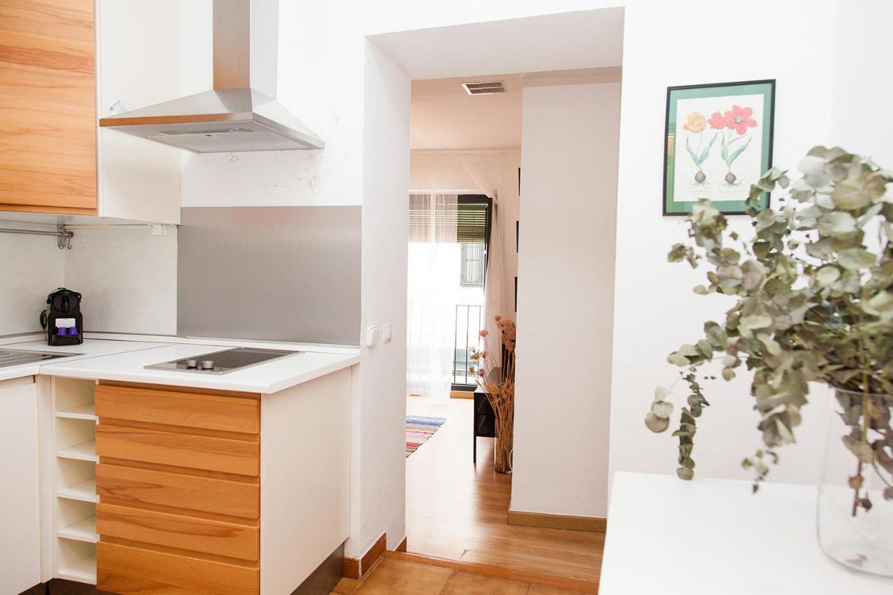Apartment Gotoseville Sierpes Seville
