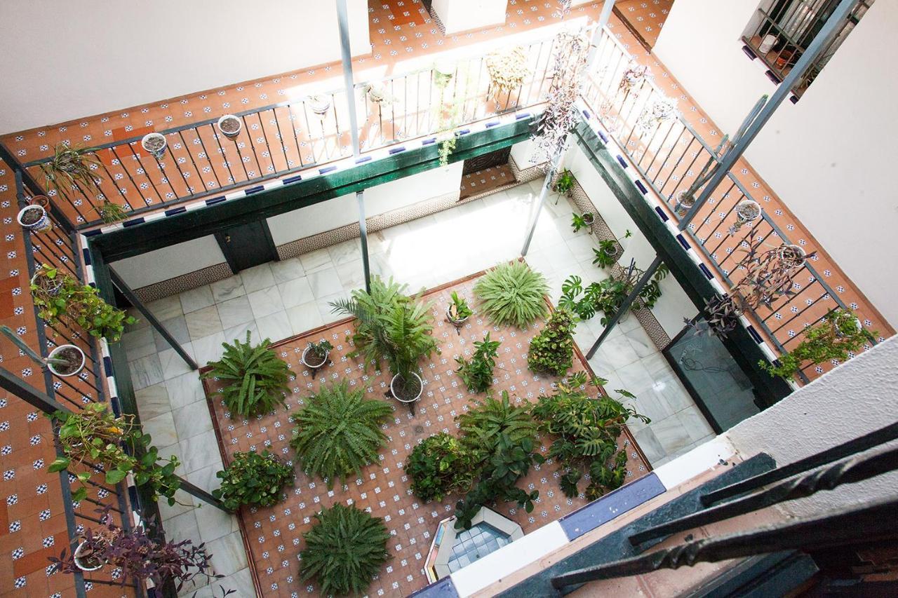 Apartment Gotoseville Sierpes