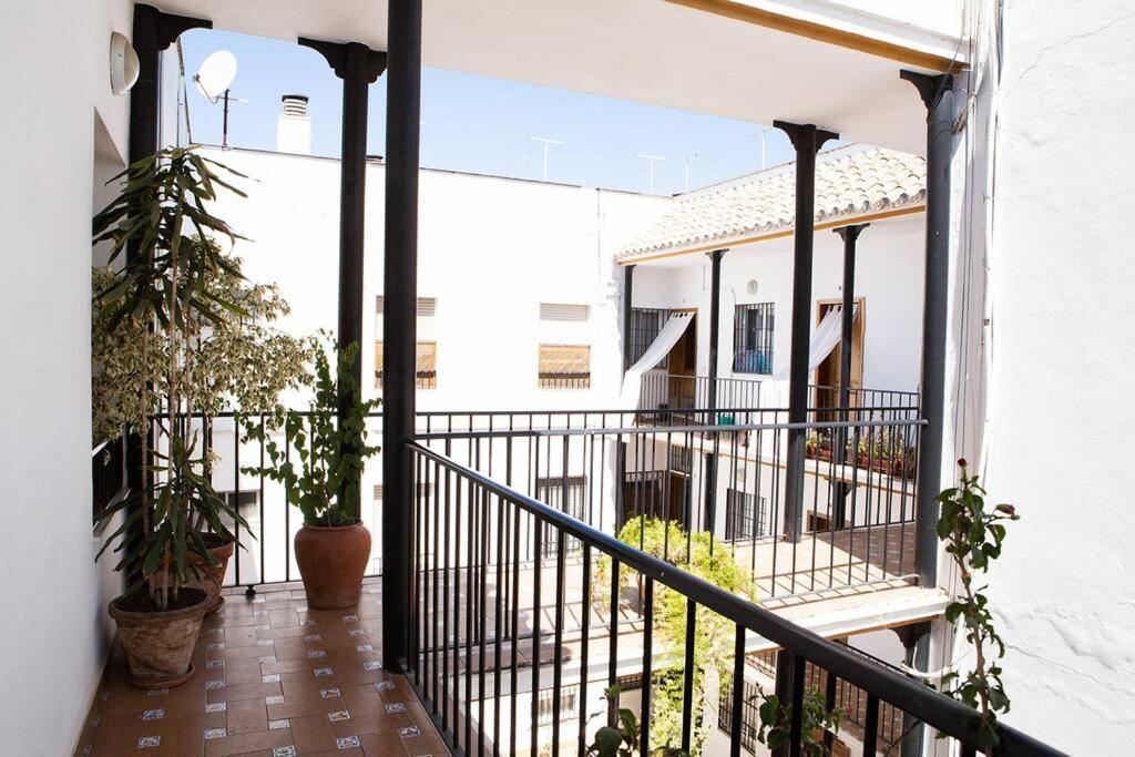 Cozy In The Center Of Apartment Seville