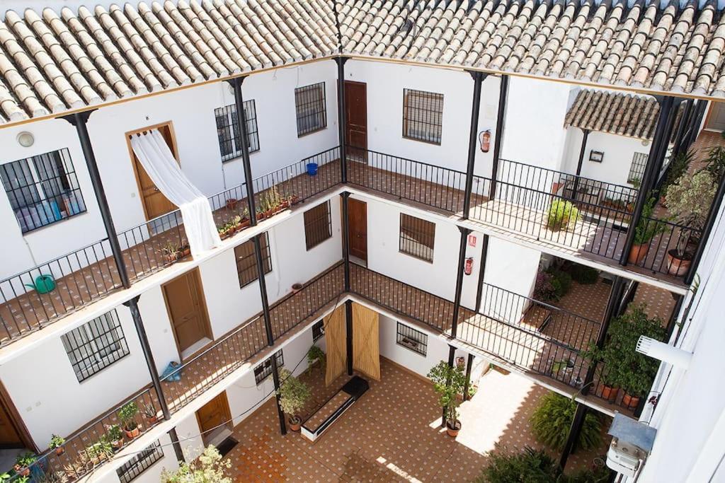 Cozy In The Center Of Apartamento Sevilla