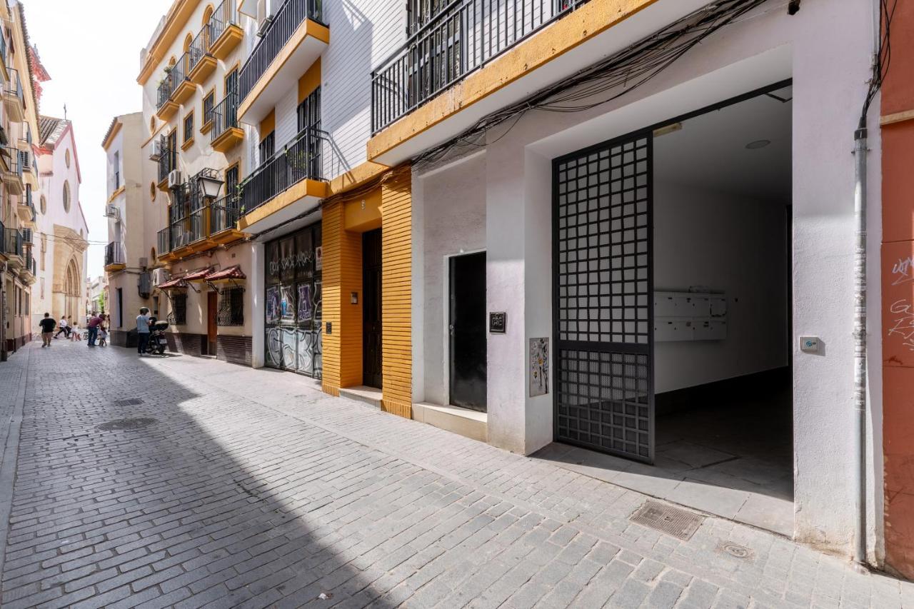 Centrico Y Acogedor