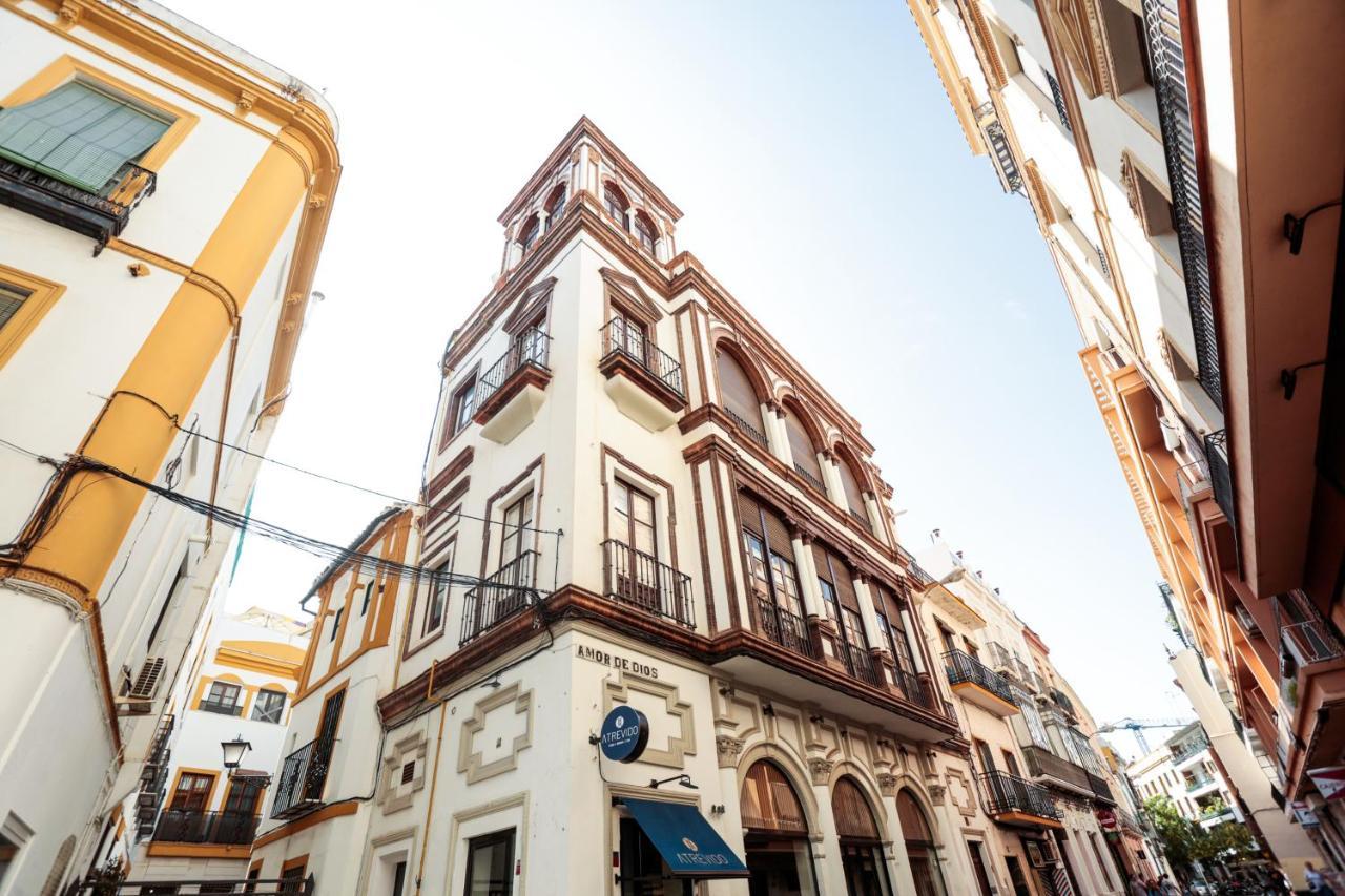 Monkeys Cervantes Seville