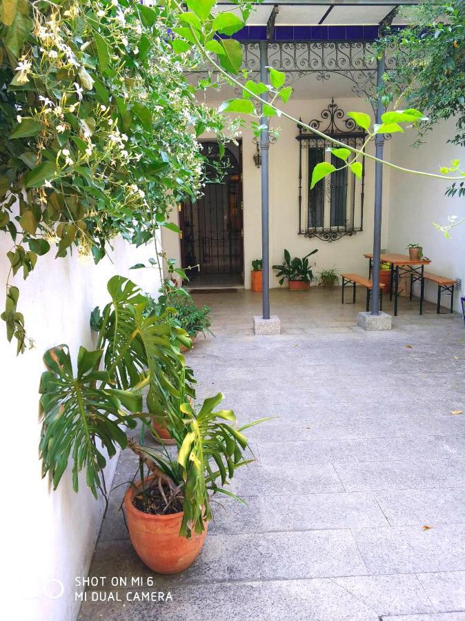 Alacas Sevilla