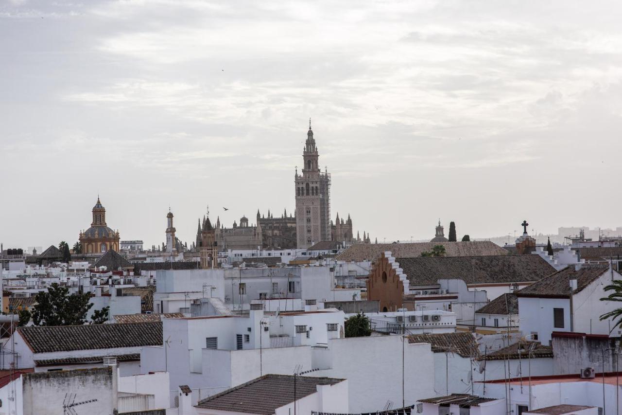 Mirador Puerta Carmona