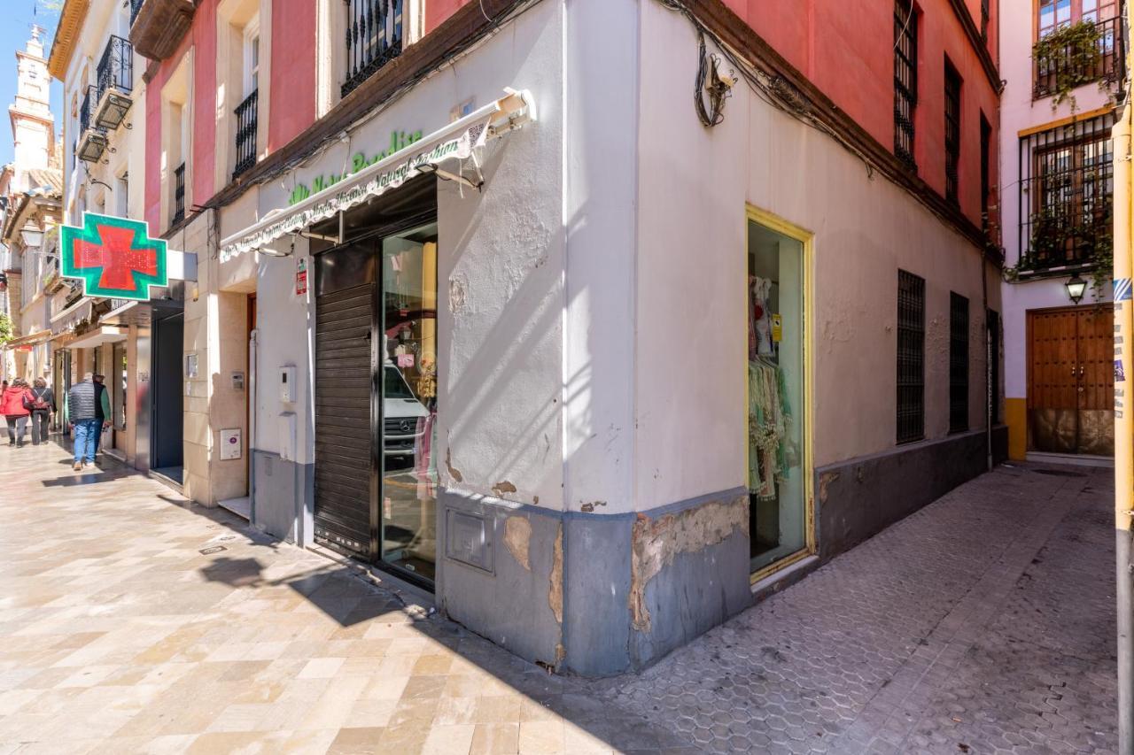 Veoapartment Santa Maria La Blanca