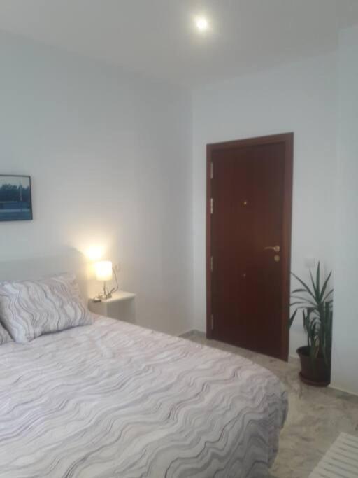 Apartamento +++habitacion Y Bano Privado Entrada Independiente