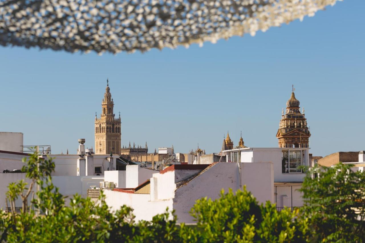 La Casa Del Maestro Boutique Seville