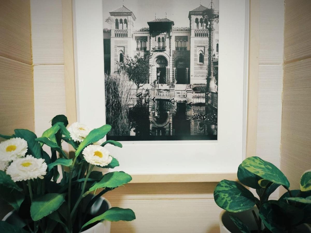Cozy In Historic Centre Apartment *