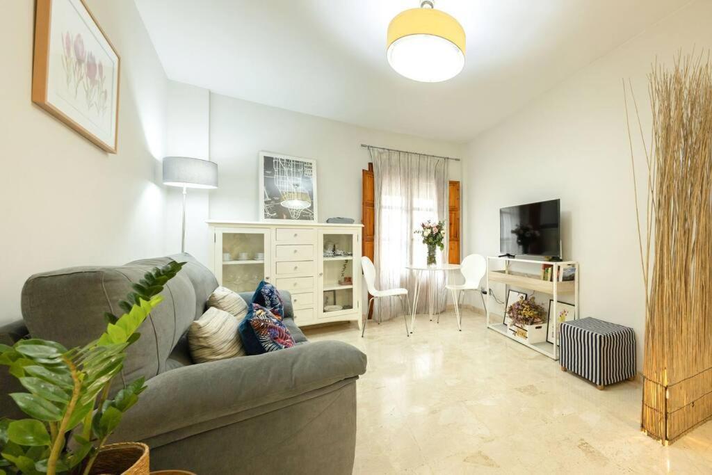 Pajaritos Center By Valcambre Apartment