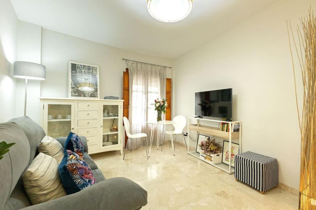 Pajaritos Center By Valcambre Apartment *