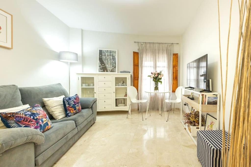 Apartment Pajaritos Center By Valcambre