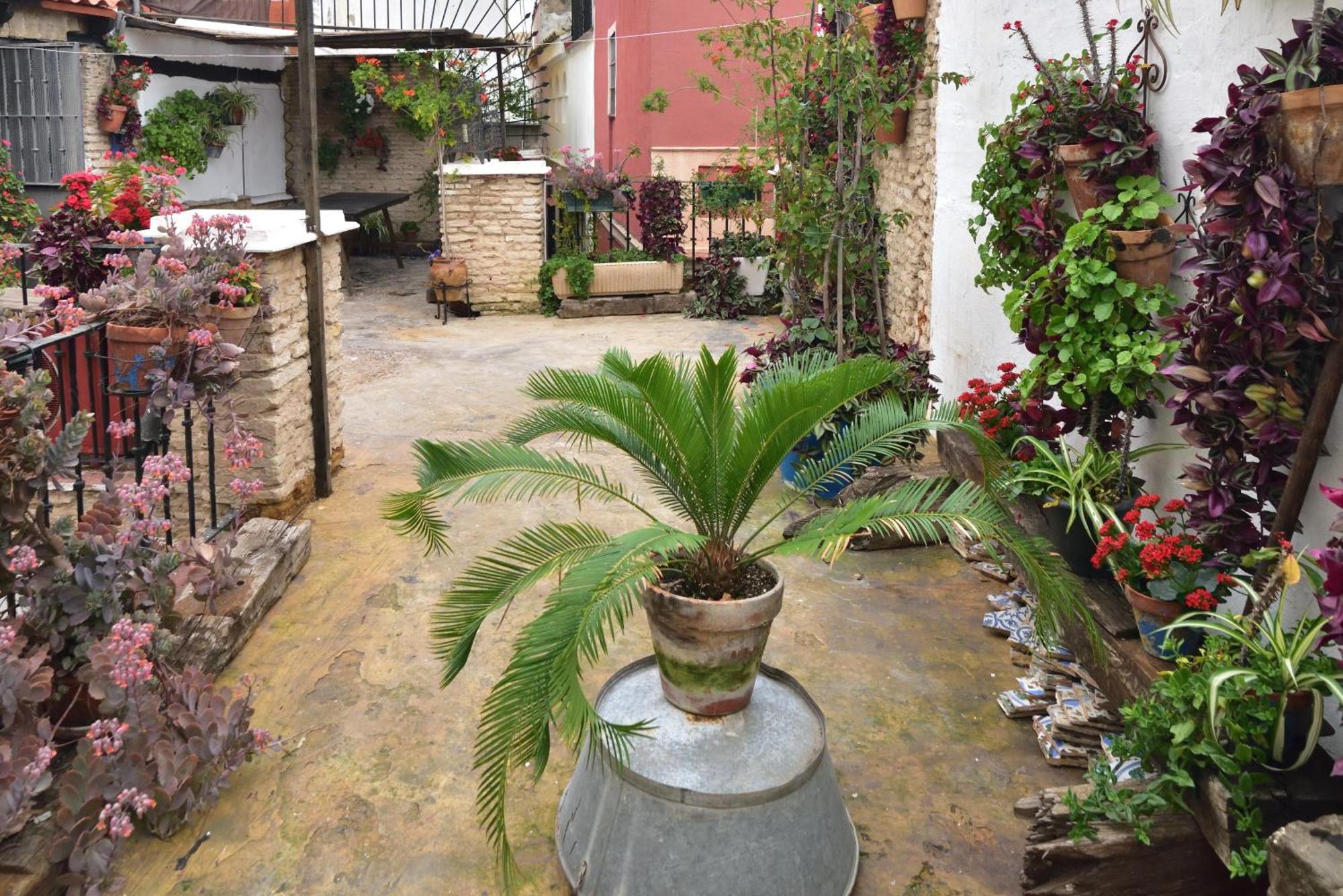 Casa Tenorio Barrio De Santa Cruz *