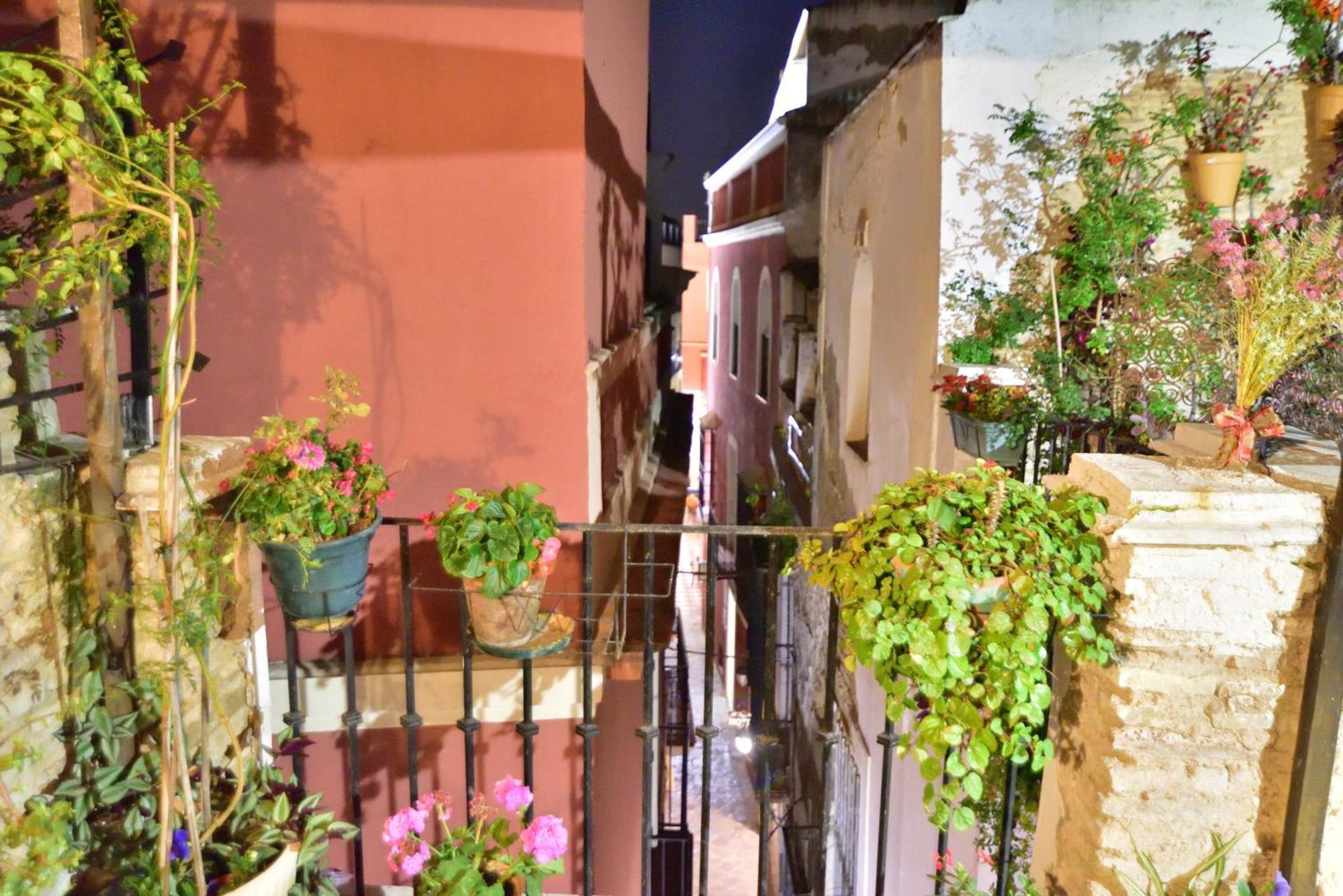 Casa Tenorio Barrio De Santa Cruz * Sevilla