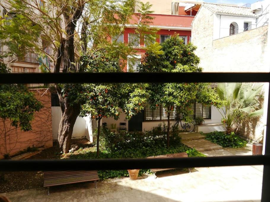 Centrally Located In Old Palace House *