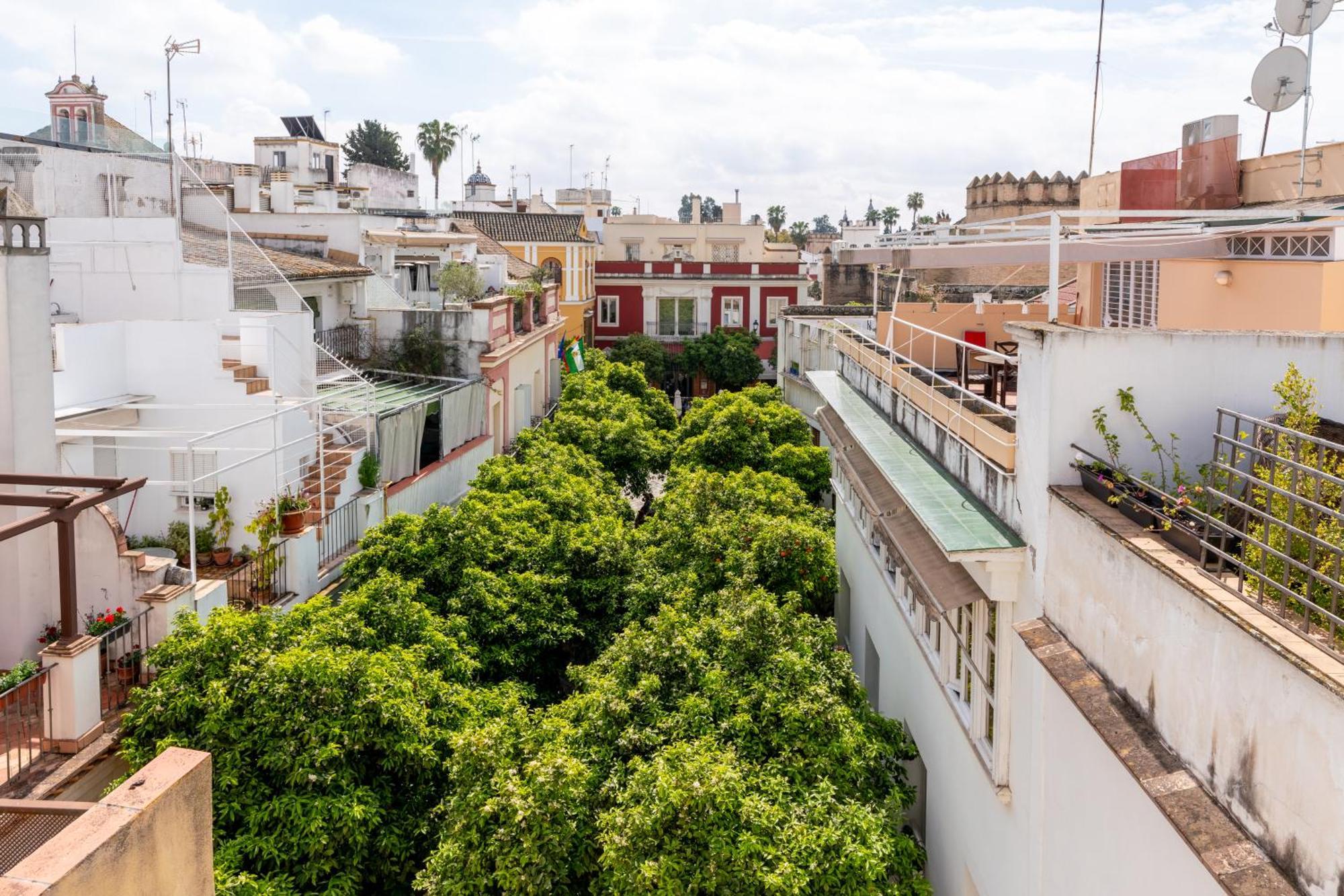 Casa Guadalupe *