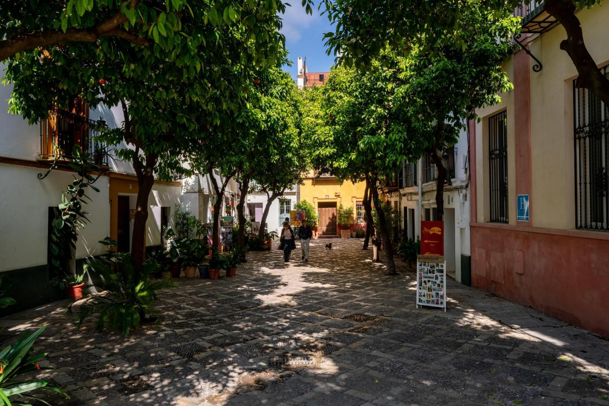 Casa Guadalupe Сasa de vacaciones Sevilla