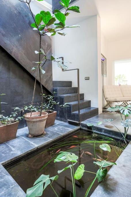 Apartamento Elegante Duplex Centro Matahacas 1 Sevilla