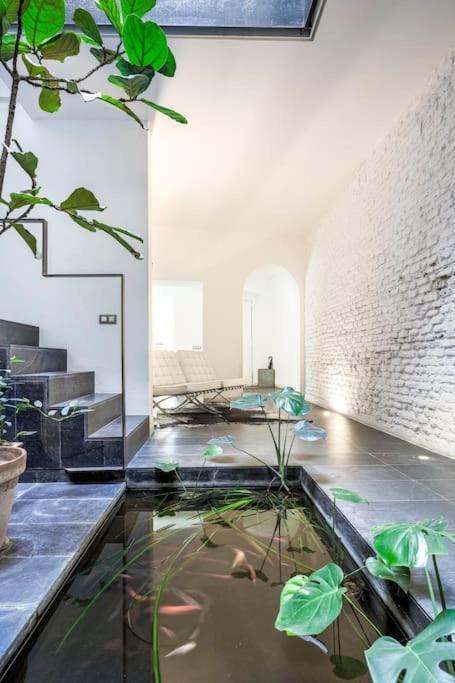 Exclusivo De Diseno Centro Matahacas Bajo Apartamento *