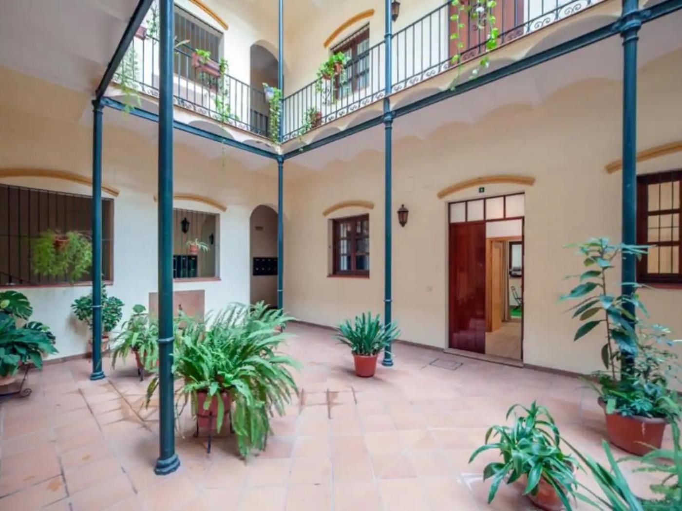 Apartamento Monkeys Castilla Triana