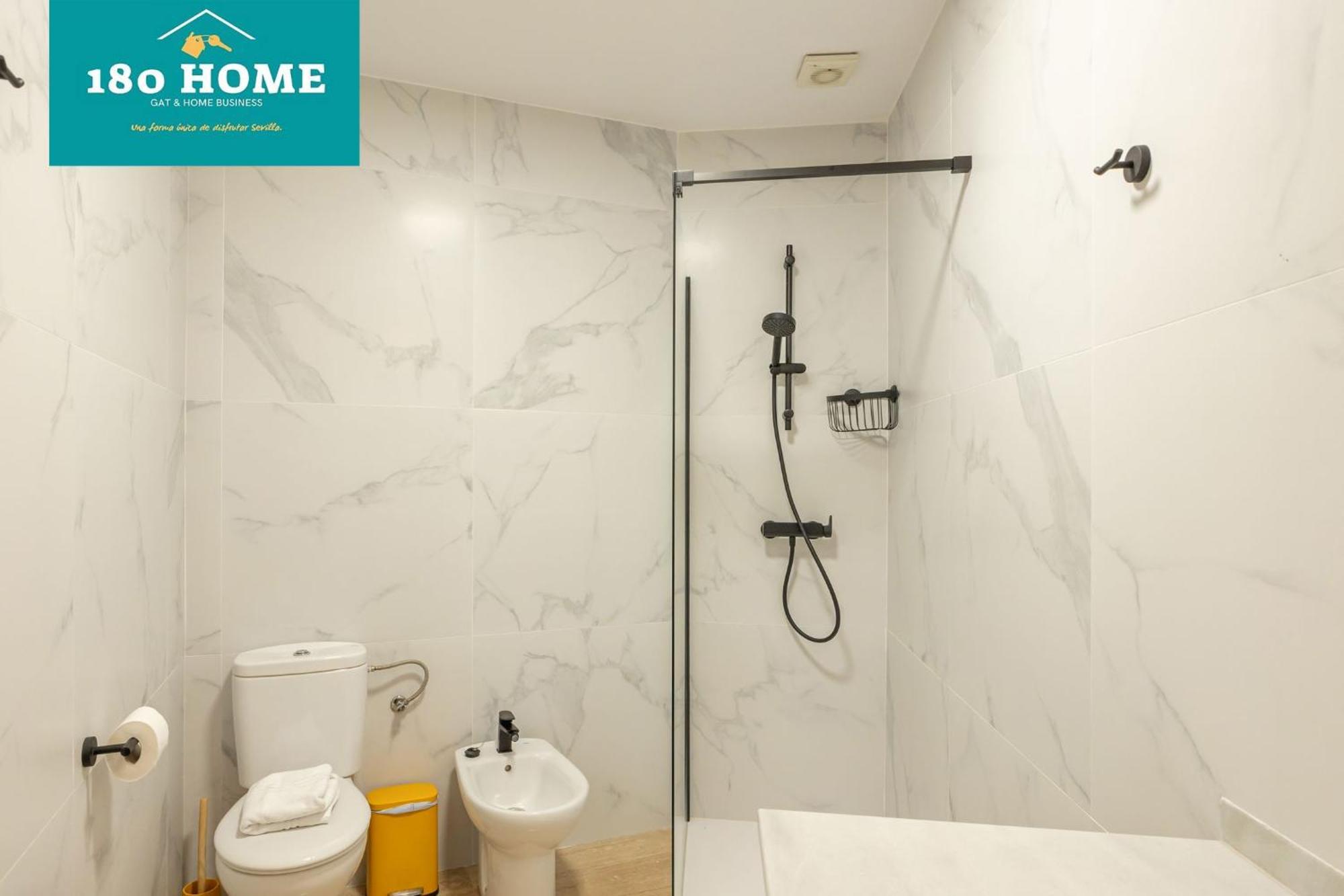 180 Goyeneta Luxury Sevilla