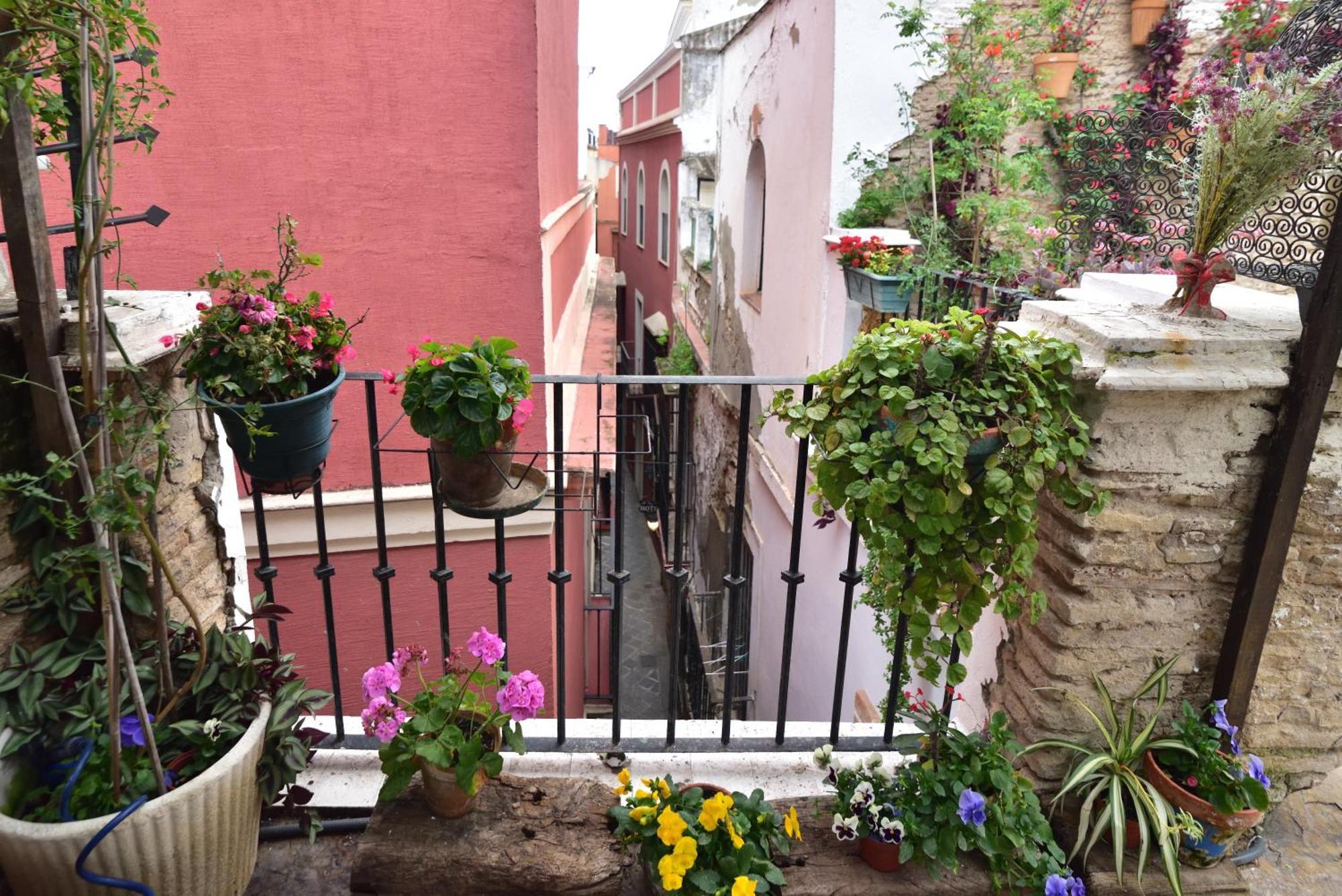 Homestay Dona Ines Barrio Santacruz Seville